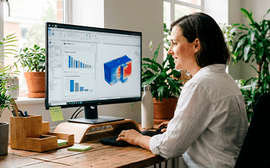 Autodesk Insight